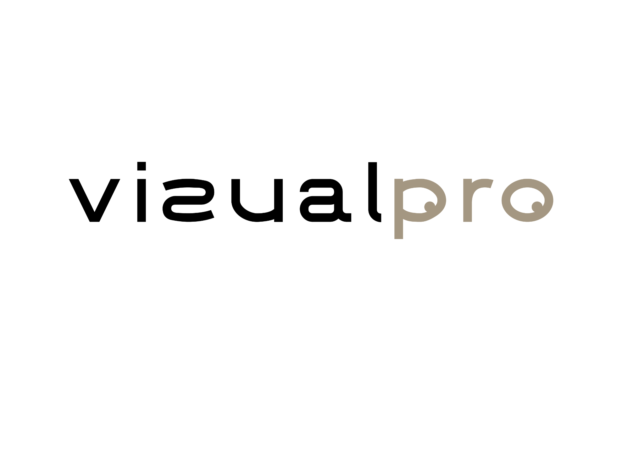 VizualPro